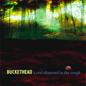 Buckethead - Broken Mirror