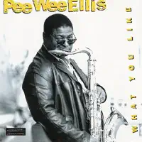 Tune With A View (feat. Fred Wesley) — Pee Wee Ellis