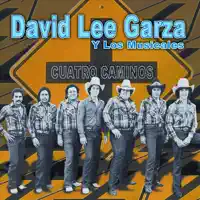 Cuatro Caminos — David Lee Garza, J.A. Jimenez & Los Musicales
