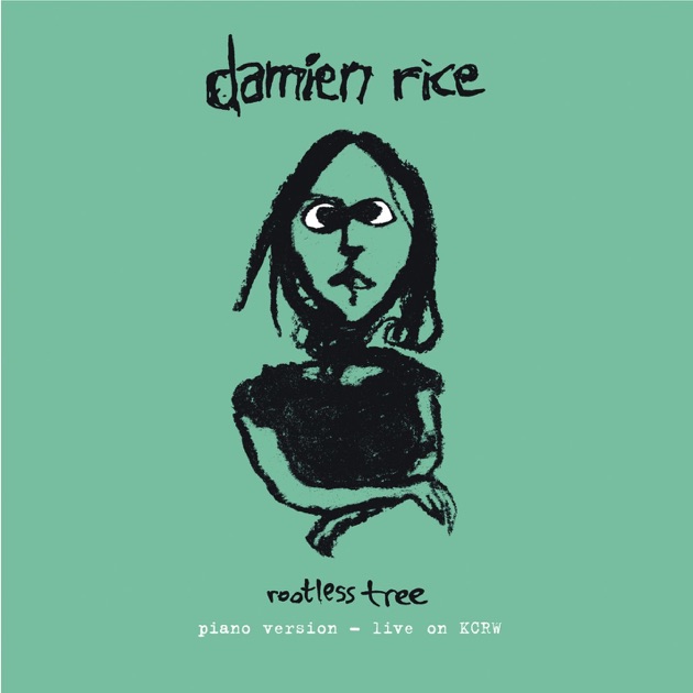 Damien Rice Piano Cover