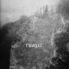Final - Trees