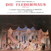 Die Fledermaus