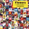 Casiopea - Mystic Lie