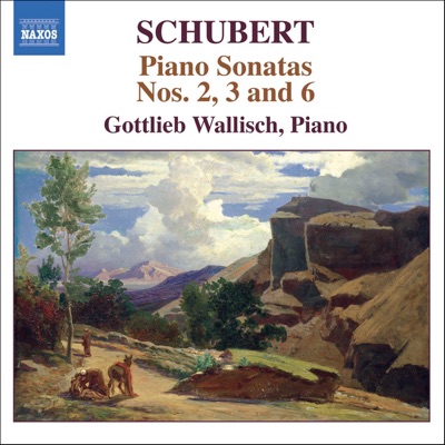 Schubert: Piano Sonatas Nos. 2, 3 and 6