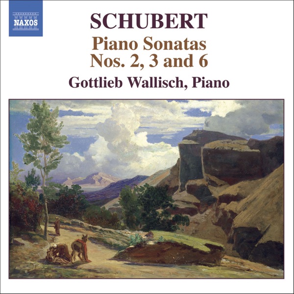 Schubert: Piano Sonatas Nos. 2, 3 and 6
