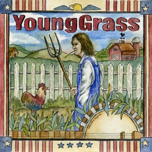 Young Grass