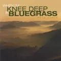 When I'm Knee Deep in Bluegrass