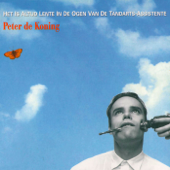 Het Is Altijd Lente In de Ogen Van de Tandarts Assistente - Peter de Koning Cover Art