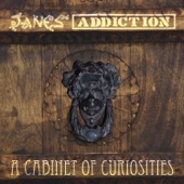 Jane's Addiction - Been Caught Stealing (12" Remix Version)