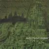 Kelly David - Outside the Temperate Zone