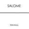 Terminal - Salomé lyrics