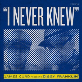 I Never Knew (Album Version) James Curd & Ziggy Franklin