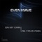 On Your Own - Evenwave lyrics