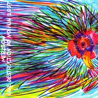 Live Destruction At No Fun 2007 - Merzbow