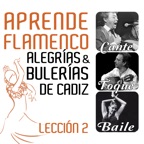 Alegrías Sin Taconeo