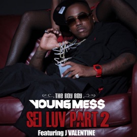Sei luv (feat. J. Valentine), Pt. 2 The Boy Boy Young Mess