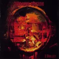 Assassination — 2 Bullet