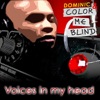 Voices In My Head