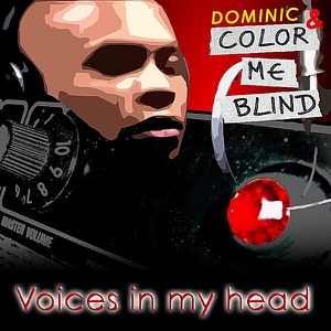 Voices In My Head