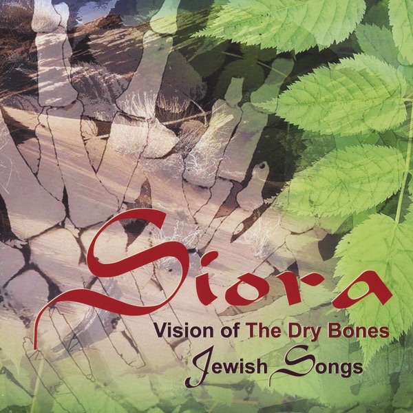 Vision of the Dry Bones