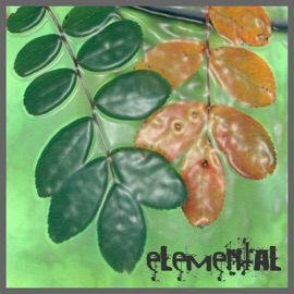 Elemental In Dub Elemental