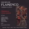 Isaac Vigueras Caminando Con el Tiempo Noches de Flamenco - Flamenco Como Suena