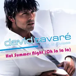 Hot Summer Night (feat. 2 Eivissa) - EP - David Tavare