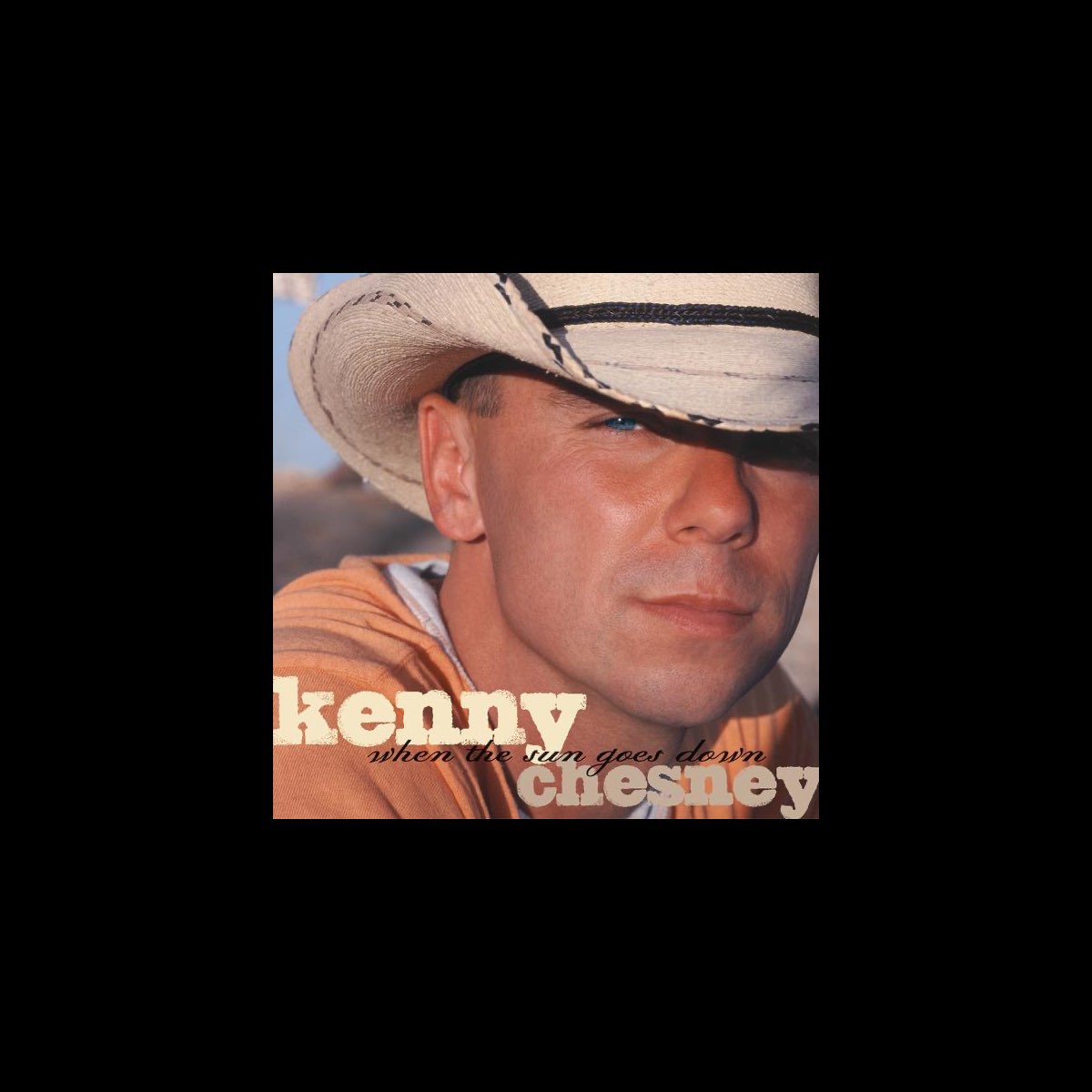 When the Sun Goes Down (Deluxe Version)” álbum de Kenny Chesney en