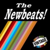 The Newbeats - Run Baby Run (Back Into My Arms)