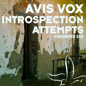 Introspection Attempts - EP