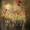We Fall As One - Moneta lyrics