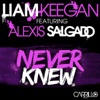 Never Knew (feat. Alexis Salgado)