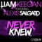 Never Knew (feat. Alexis Salgado) [Radio Mix] - Liam Keegan lyrics