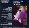 Classics for Chamber Orchestra, Vol. 1