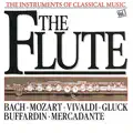Flute Concerto No.2 In D, K314