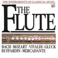 Adagio Non Troppo - From Flute Concerto No. 2 In D, K314 — Herbert Kraus, Vienna Mozart Ensemble & Kurt Berger