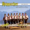 Hippacher Musikanten - Goldschmied Polka