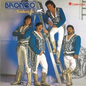 Bronco - Oro