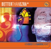 Better Than Ezra - Beautiful Mistake