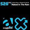 Naked in the Rain (King Richard  Etienne Ozborne Mix)