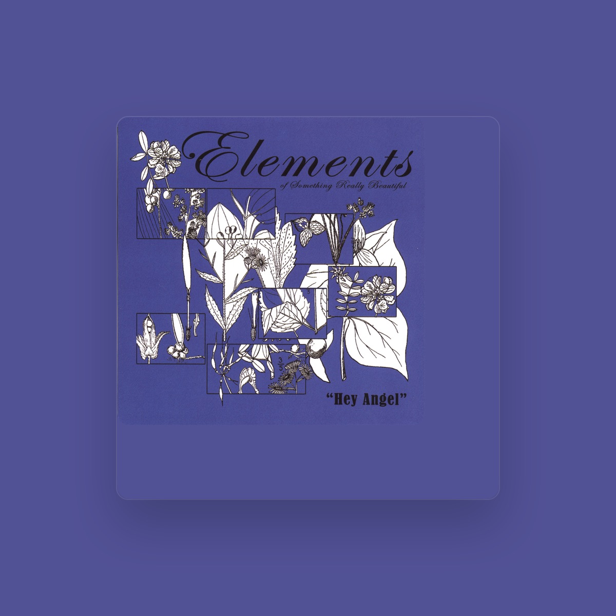 Elements of Something Really Beautiful artist photo