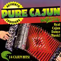 Lafayette Breakdown — Cajun Playboys