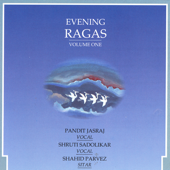 Evening Ragas, Vol. 1