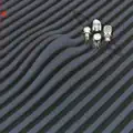 Pyramid Song