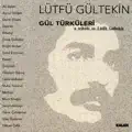 Bir Gonule Ask Girince