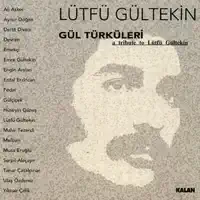 İlim Dergahının — Yılmaz Çelik