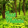 Just Nature