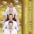 Freunde fürs Leben [Radio Mix]