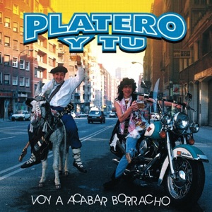 Voy a Acabar Borracho