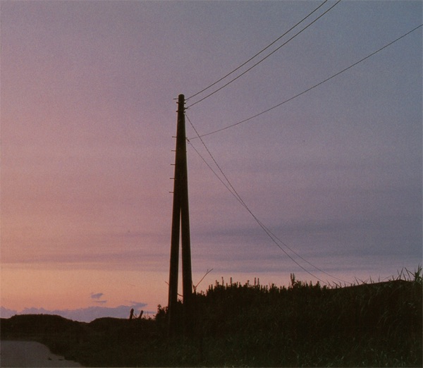 飛べない鳥 - Single